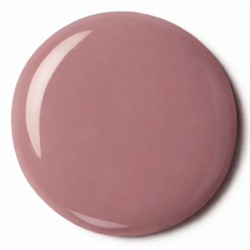 Lakier Hybrydowy Elegant Nude – NILO no.111