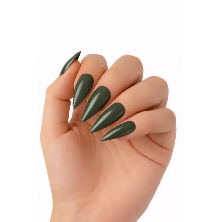 Lakier Hybrydowy Military – NILO no.59