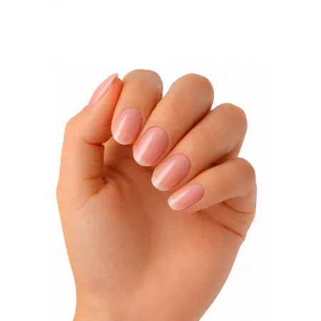 Baza Budująca NILO – Clear